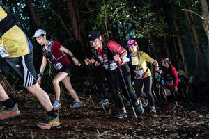 BIB: 
                            <button type="button" onclick="openModal(19041636)" class="btn btn-primary btn-sm float-right btn-popup" data-toggle="modal" data-target=".modal-high-quality">
                        <i class="fas fa-shopping-cart"></i> Add to Cart
                    </button>
                                            <button type="button" onclick="isThisMe(19041636, true)" class="btn btn-success btn-sm float-right btn-popup btn-isme hidden" data-toggle="tooltip" data-placement="bottom" title="นี่คือรูปของคุณใช่ไหม คลิกที่นี่เพื่อเอาเข้าอัลบั้ม">
                        <i class="fas fa-plus"></i> Add to album
                    </button>
                    <button type="button" onclick="isThisMe(19041636, false)" class="btn btn-warning btn-sm float-right btn-popup btn-isnotme hidden">
                        <i class="fas fa-ban"></i> Remove from album
                    </button>